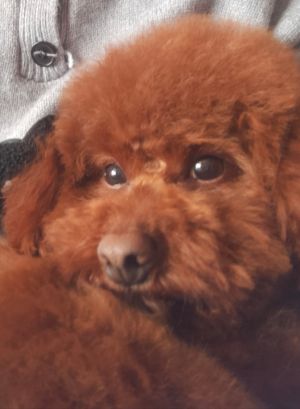 692c67cc8d40a.jpg封面